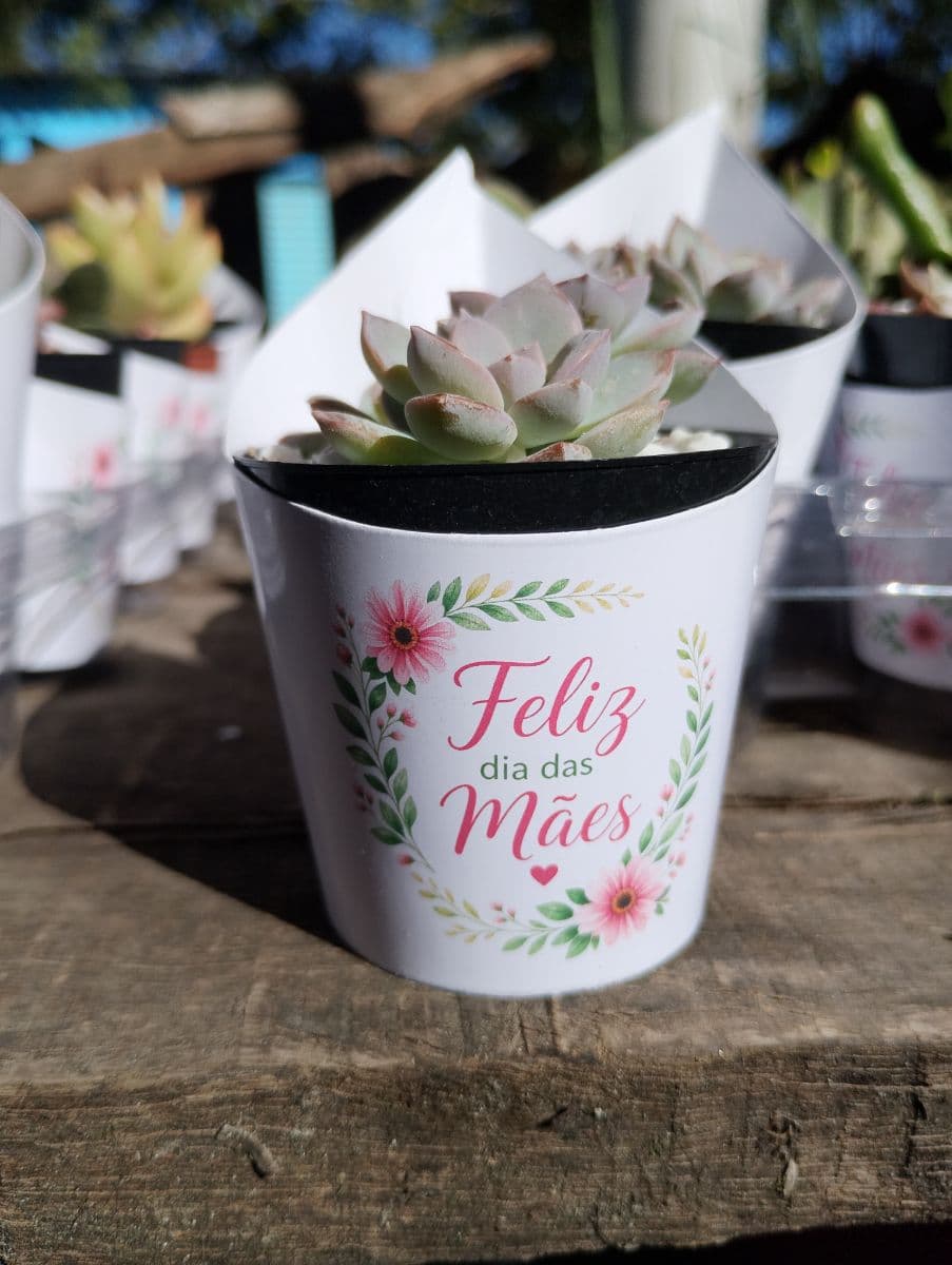 Rótulo para mini suculenta personalizada